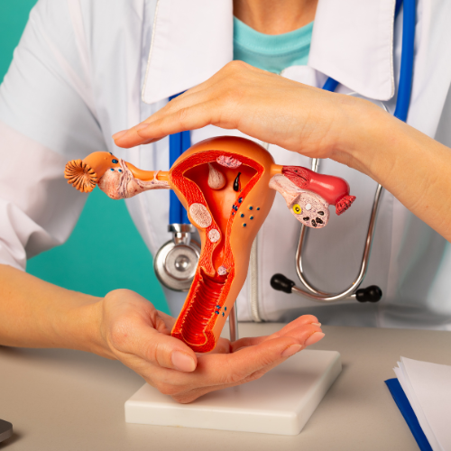 Gynecology and IVF clinic Life Care Medical Centre Maldives
