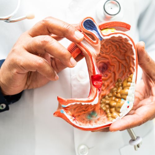 Lmc-internal-medicine
