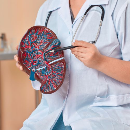 Lmc-internal-medicine